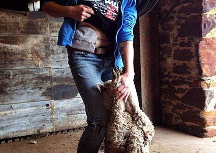 Foto: junge Auswanderin zeigt ihren Stoma-Beutel beim Schafe-scheren in Australien