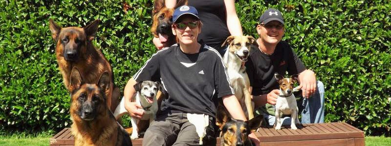 Foto: Stomat-Trägerin führt gemeinsam mit ihren Freunden Hunde aus